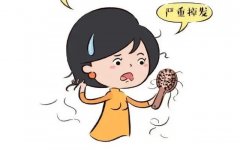 老是掉发脱发很严重怎么回事